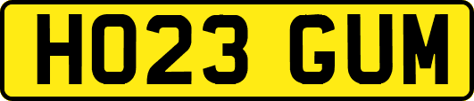 HO23GUM