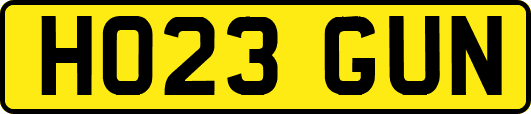 HO23GUN