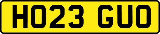 HO23GUO