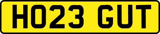 HO23GUT