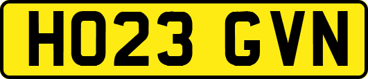 HO23GVN