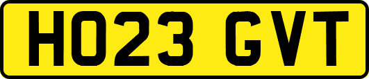 HO23GVT