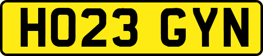 HO23GYN