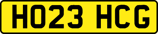 HO23HCG