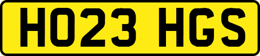HO23HGS