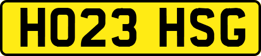 HO23HSG