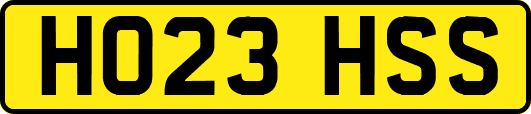 HO23HSS