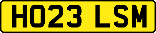 HO23LSM