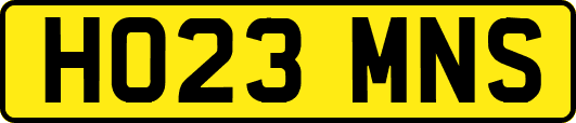 HO23MNS