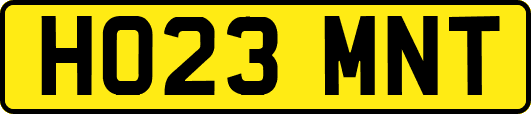 HO23MNT