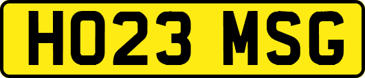 HO23MSG