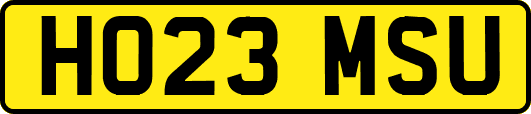 HO23MSU