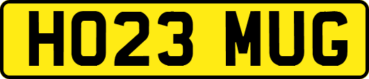 HO23MUG