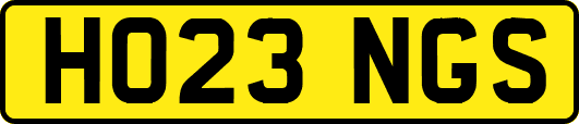 HO23NGS