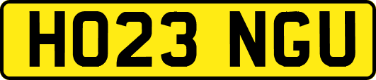 HO23NGU