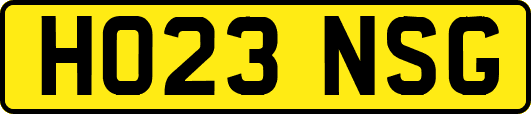 HO23NSG