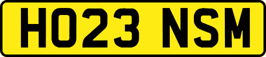 HO23NSM