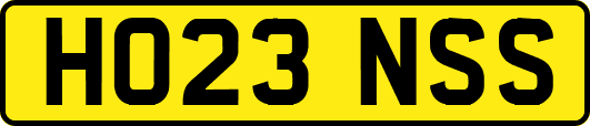 HO23NSS