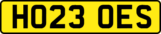 HO23OES