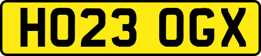 HO23OGX