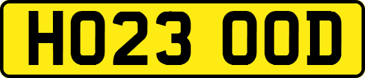 HO23OOD