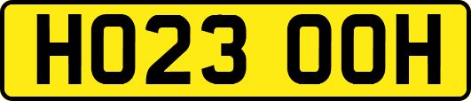 HO23OOH