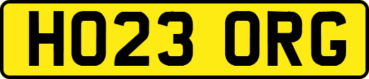 HO23ORG