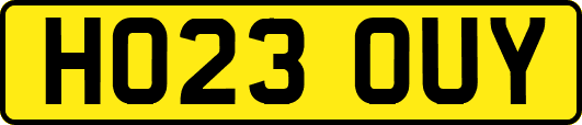 HO23OUY