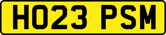 HO23PSM