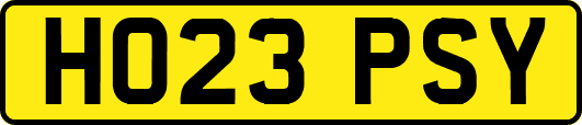 HO23PSY