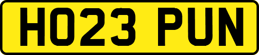 HO23PUN
