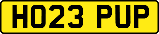 HO23PUP