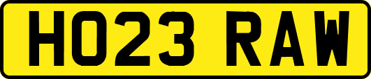 HO23RAW