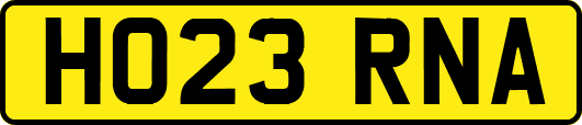 HO23RNA