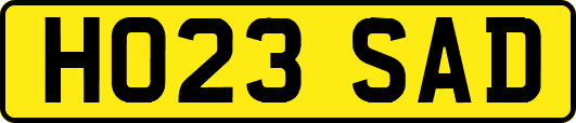 HO23SAD