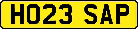 HO23SAP