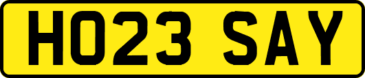 HO23SAY