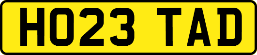 HO23TAD