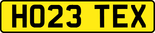 HO23TEX