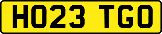 HO23TGO