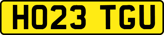 HO23TGU