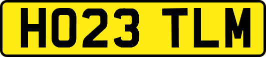 HO23TLM