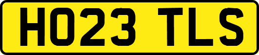 HO23TLS