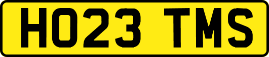 HO23TMS