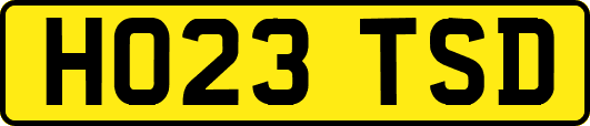 HO23TSD