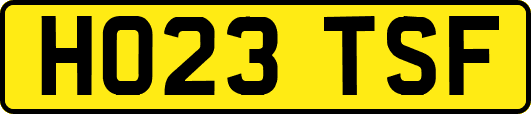 HO23TSF