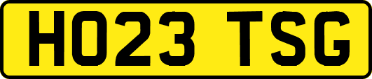 HO23TSG