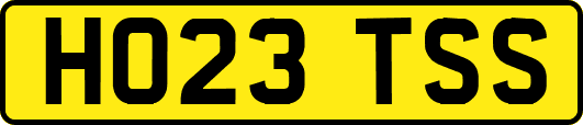 HO23TSS