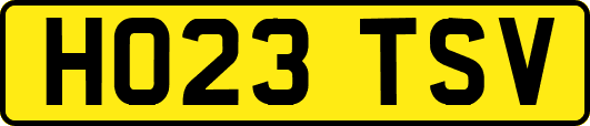HO23TSV