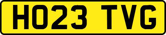 HO23TVG